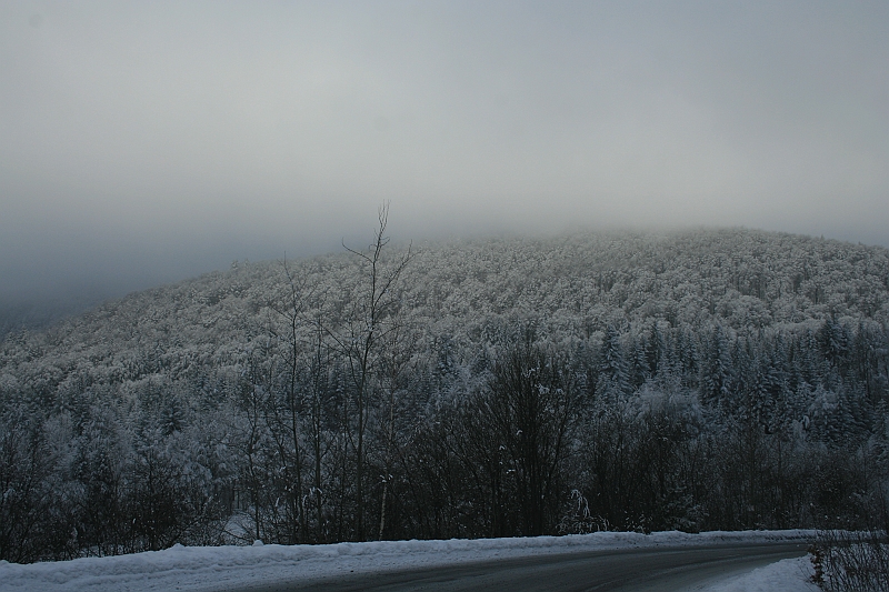 Bieszczady 12.2007 005
